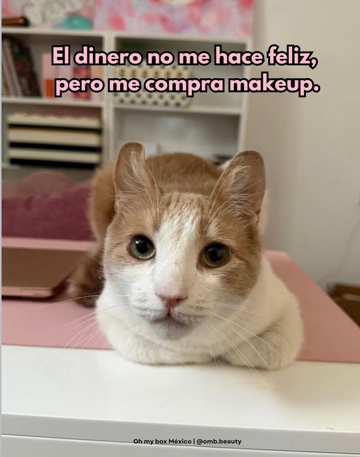 Oh my box Mexico